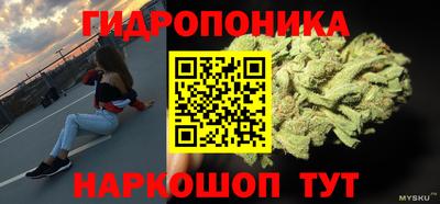 стаф Волгодонск