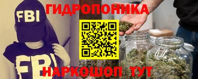 стаф Волгодонск