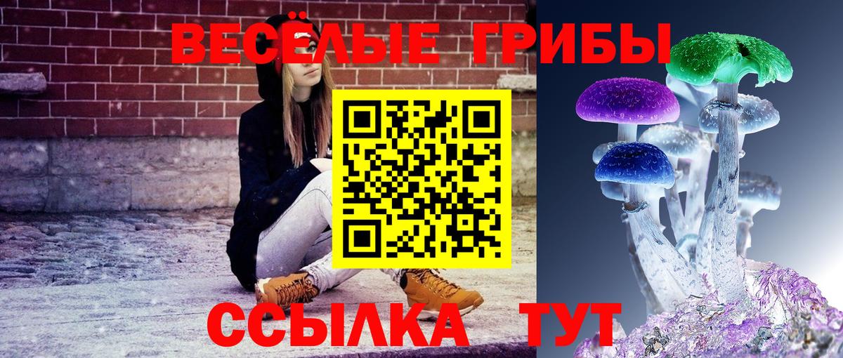 наркота  Вход с VPN  Заинск  Псилоцибиновые грибы MAGIC MUSHROOMS 